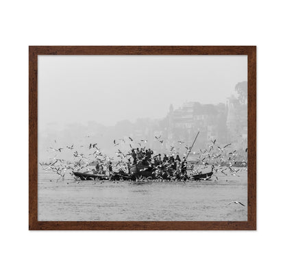 River Birds Gathering