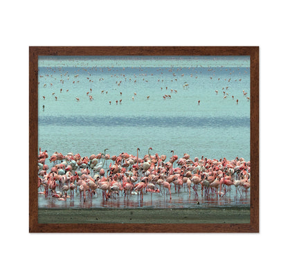 Flamingo Lagoon