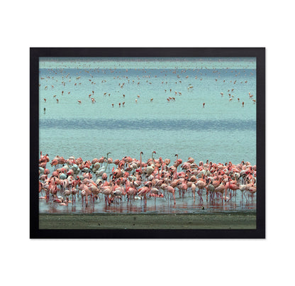 Flamingo Lagoon
