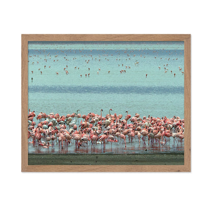 Flamingo Lagoon