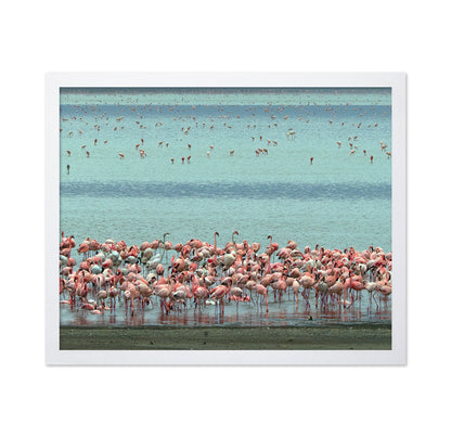 Flamingo Lagoon
