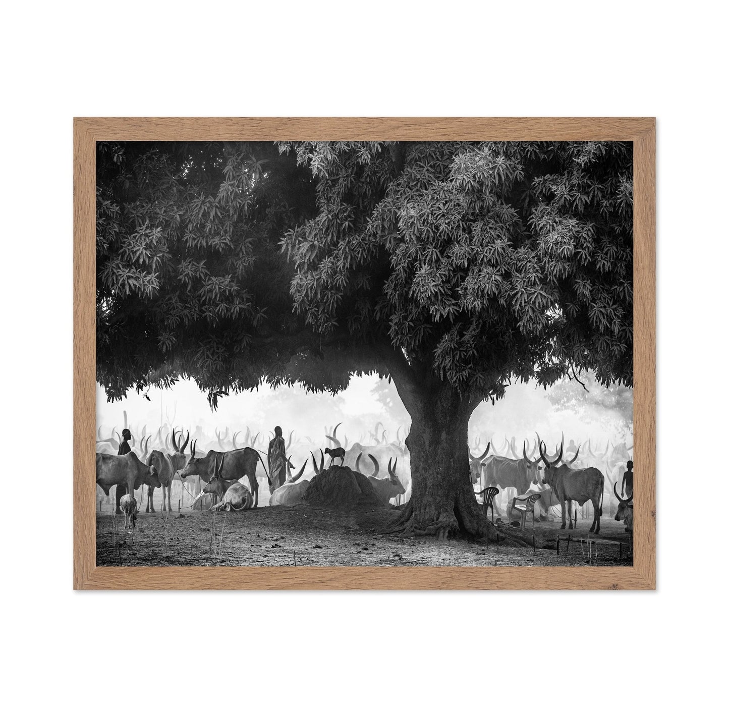 Tree Herd Gathering