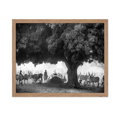 Tree Herd Gathering