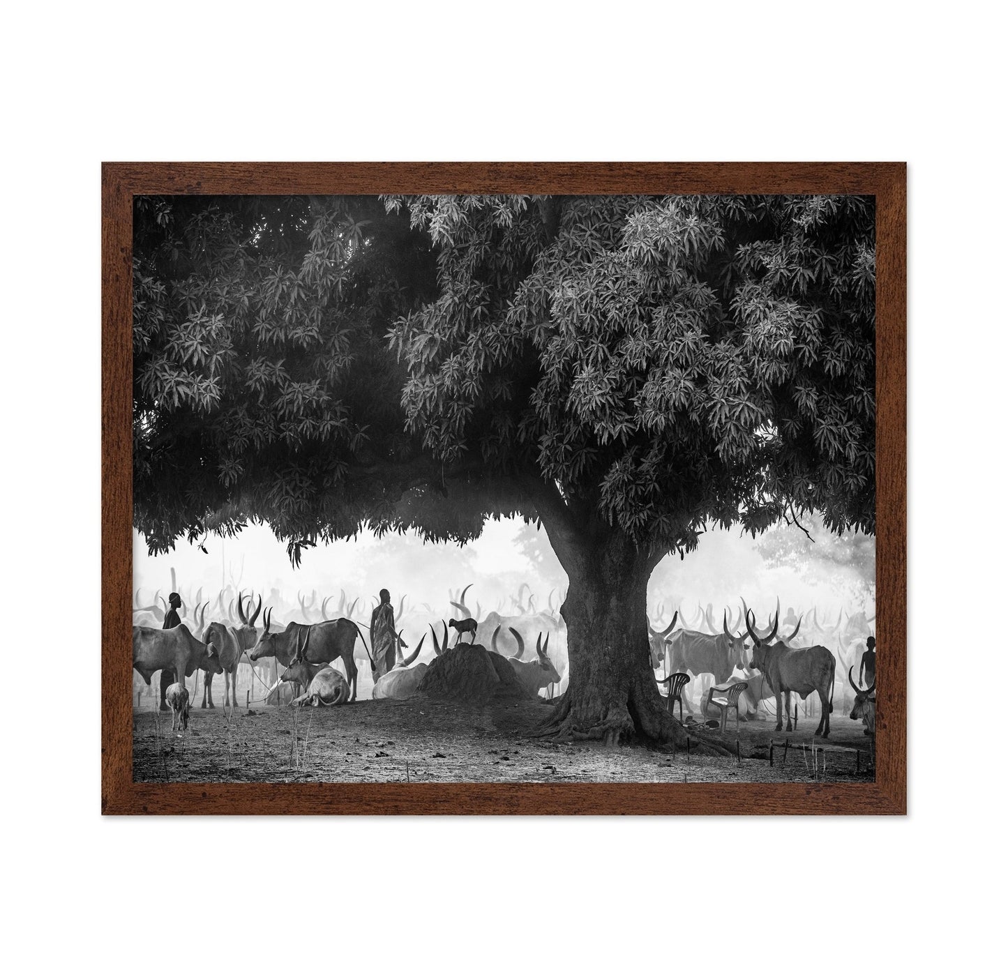 Tree Herd Gathering