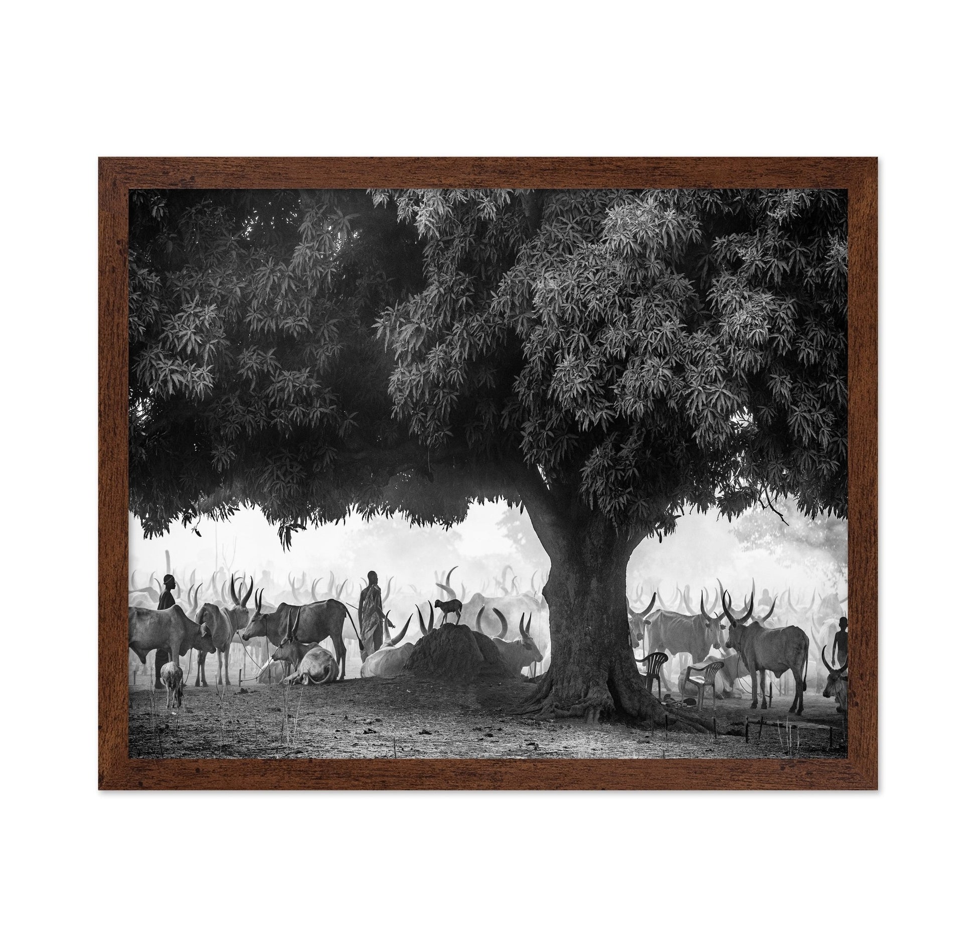 Tree Herd Gathering