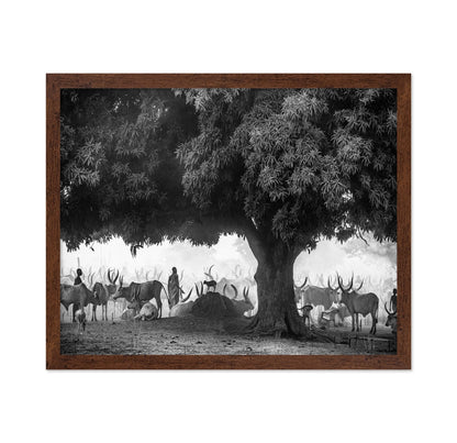 Tree Herd Gathering