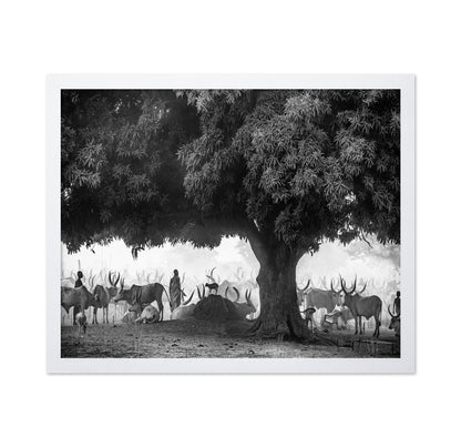 Tree Herd Gathering