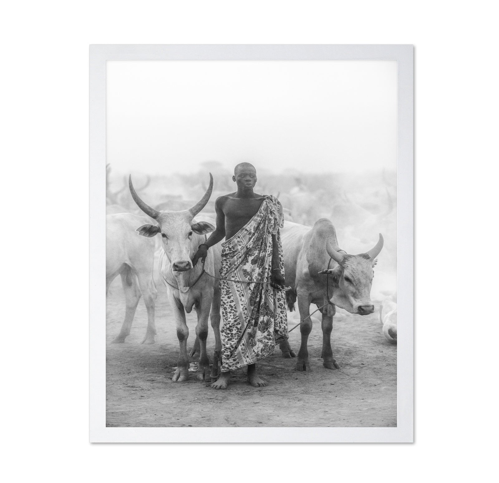 Cattle Herd Portrait