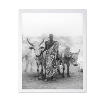 Cattle Herd Portrait