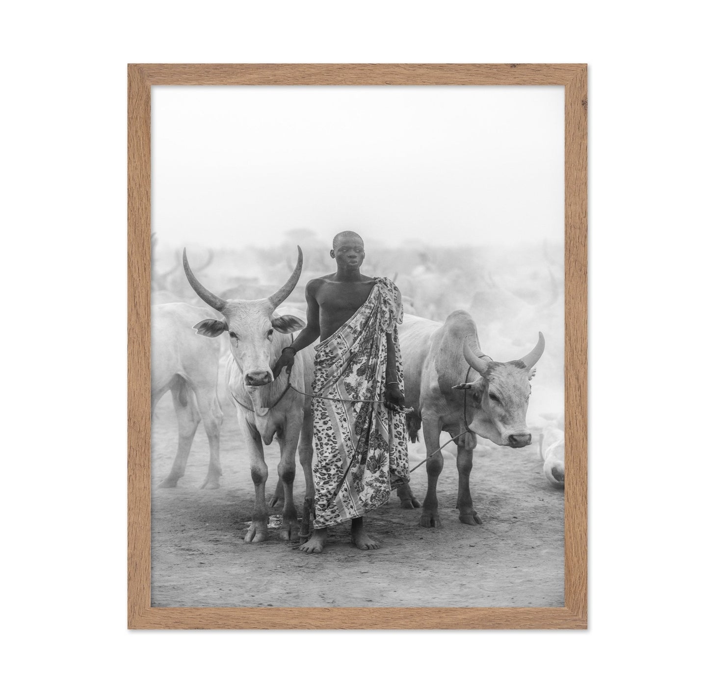 Cattle Herd Portrait