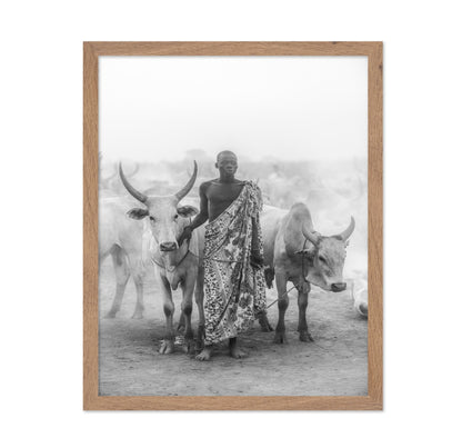 Cattle Herd Portrait