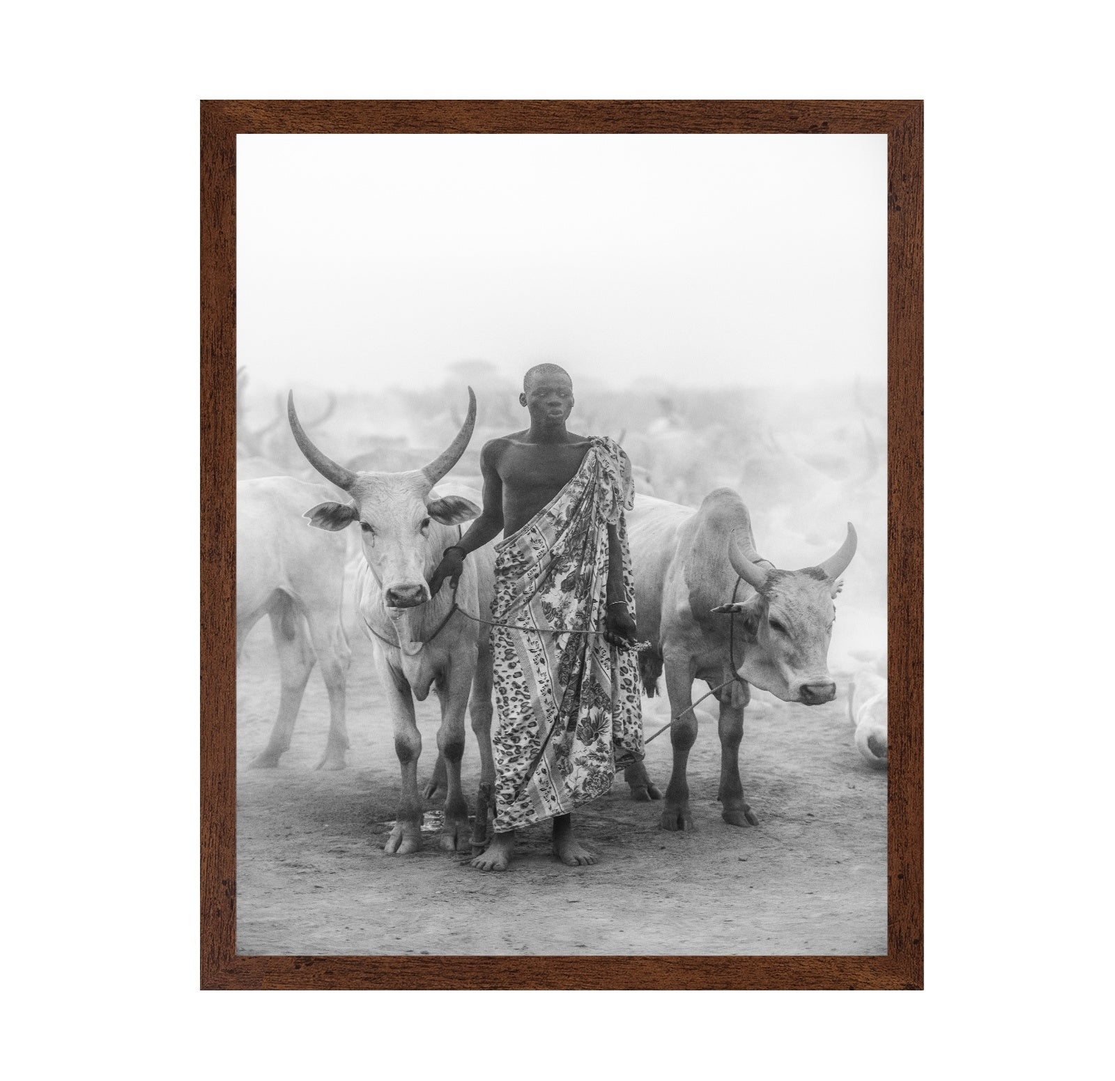 Cattle Herd Portrait