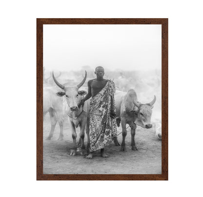 Cattle Herd Portrait