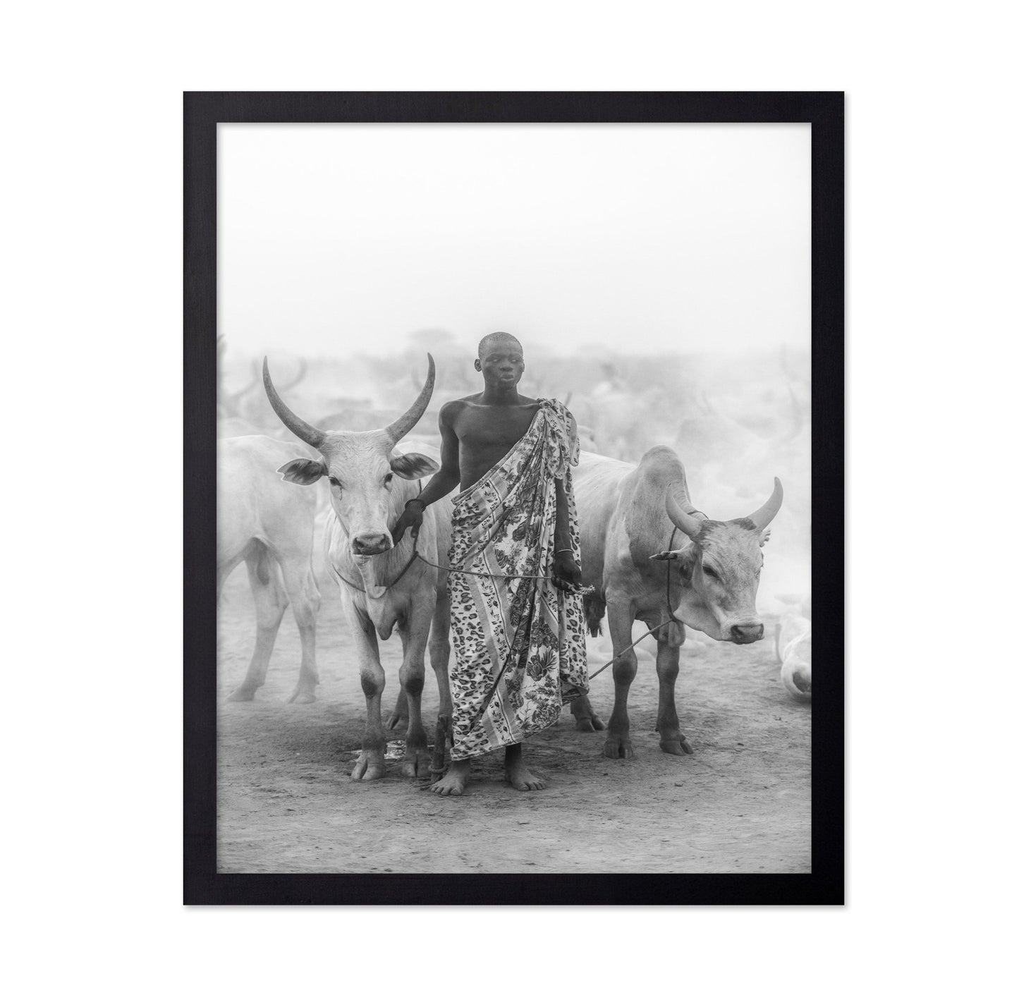 Cattle Herd Portrait