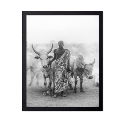 Cattle Herd Portrait