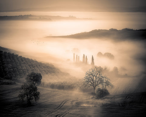 Misty Valley Dawn