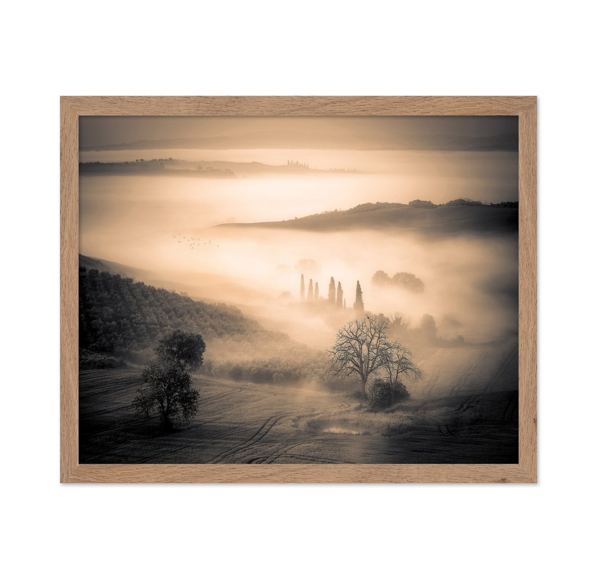 Misty Valley Dawn
