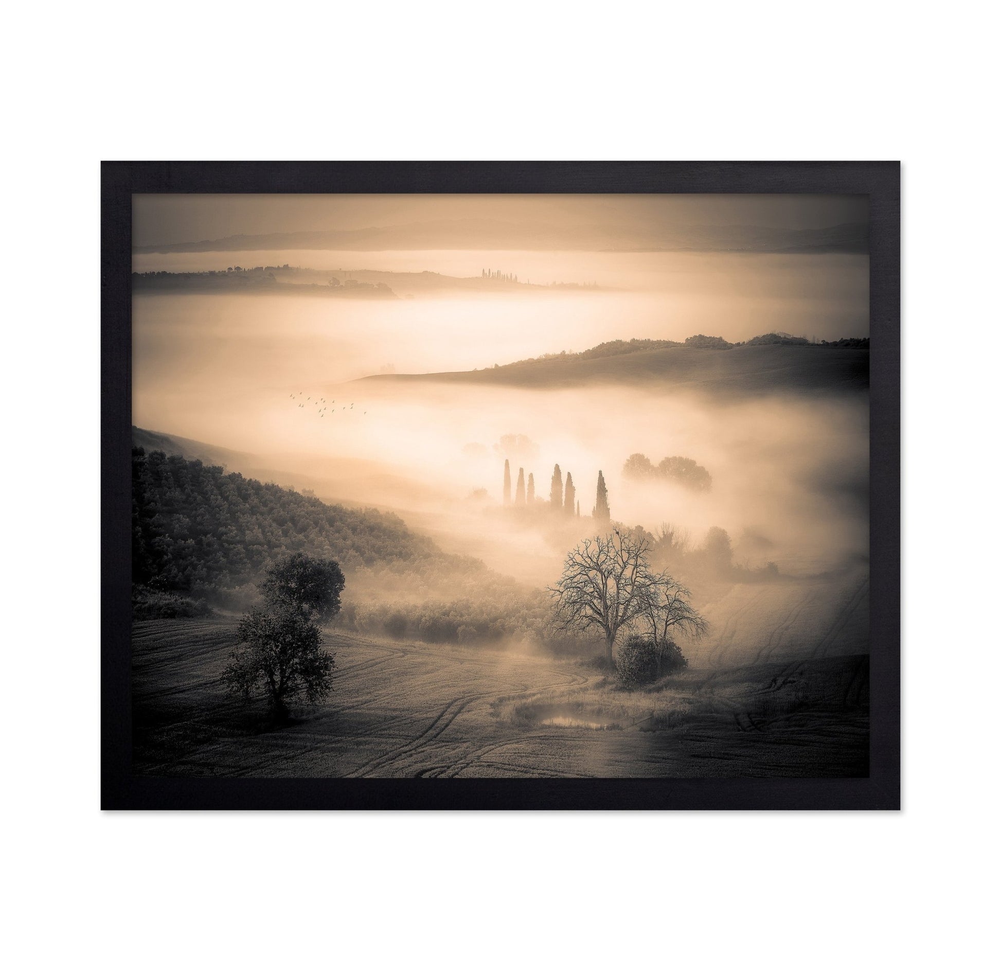Misty Valley Dawn