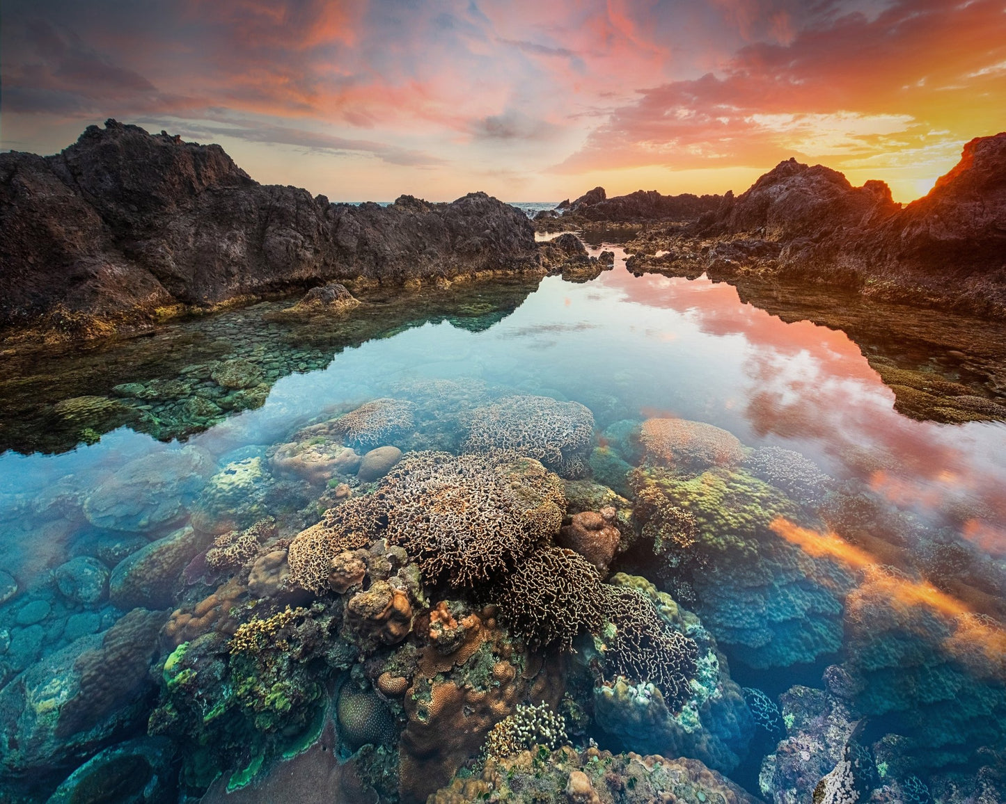 Coral Sunset Pool