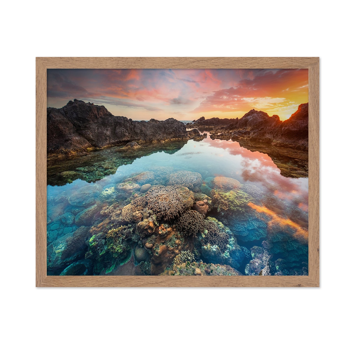 Coral Sunset Pool