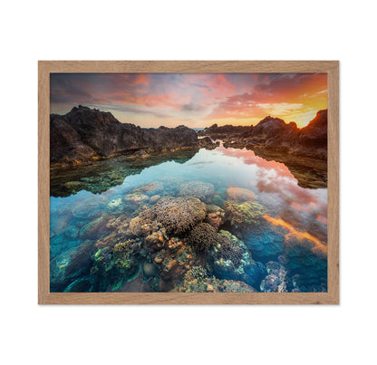 Coral Sunset Pool