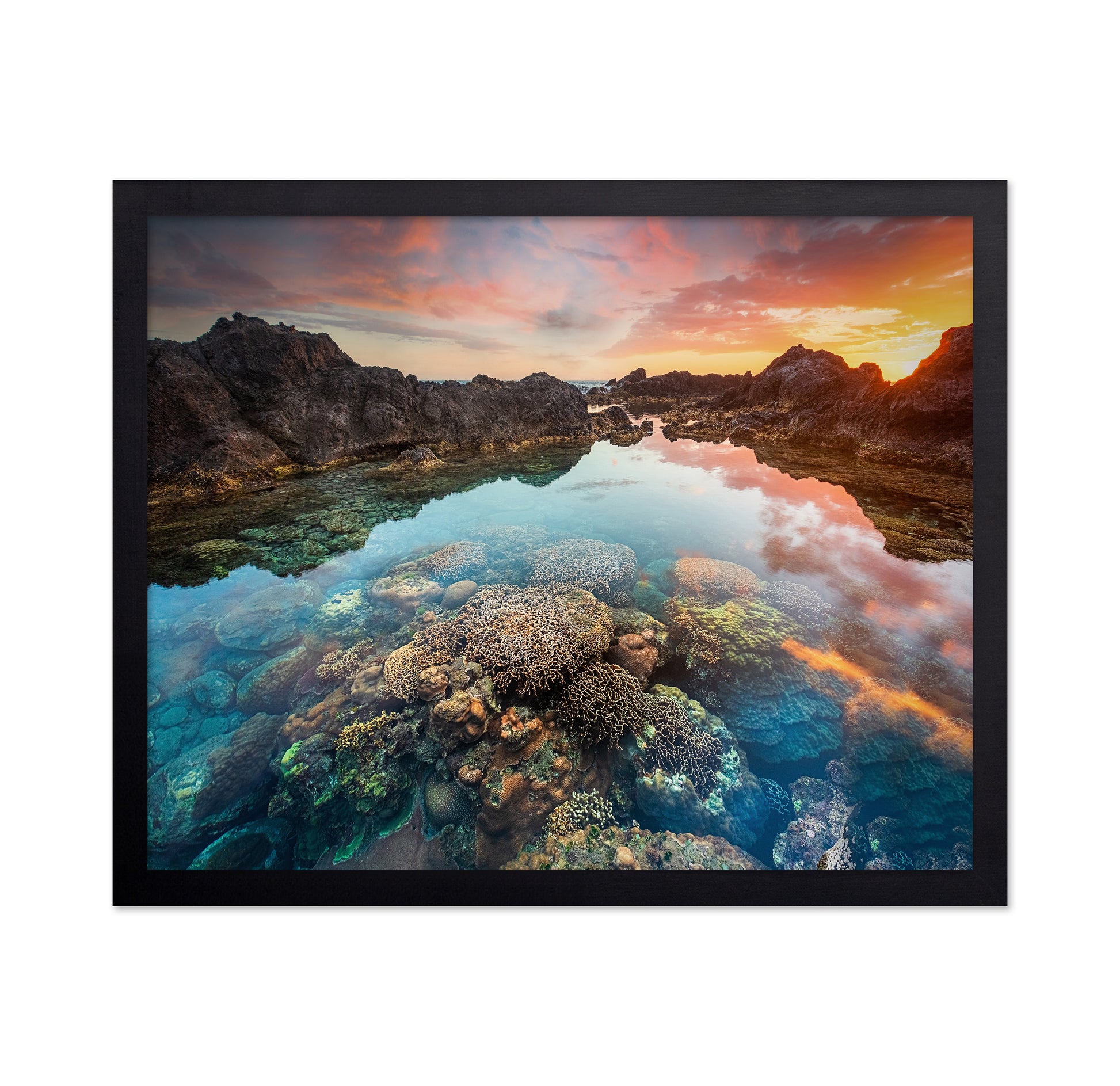 Coral Sunset Pool