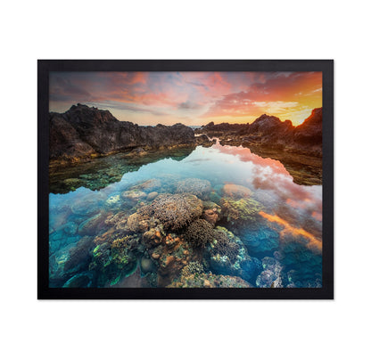 Coral Sunset Pool