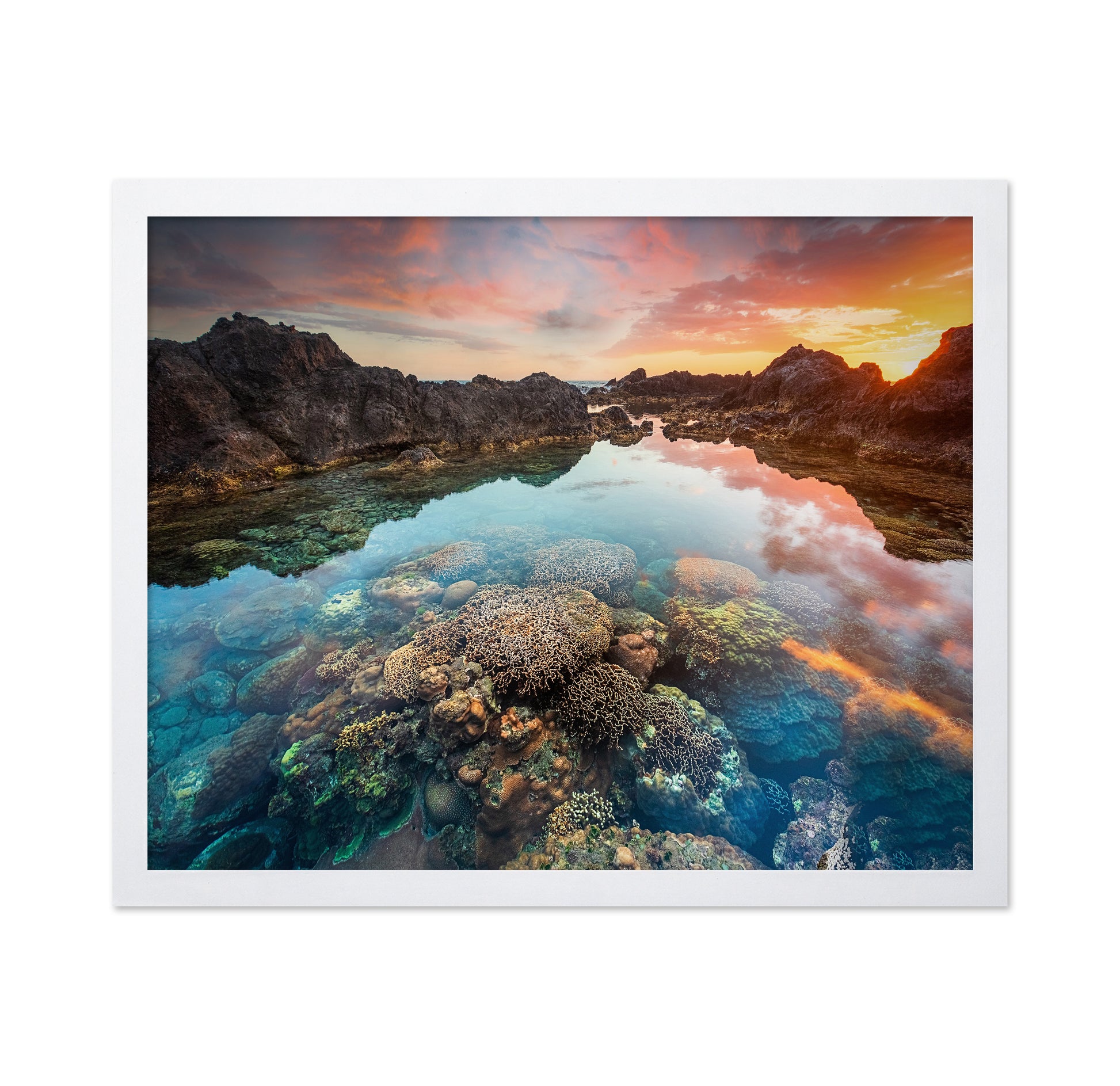 Coral Sunset Pool
