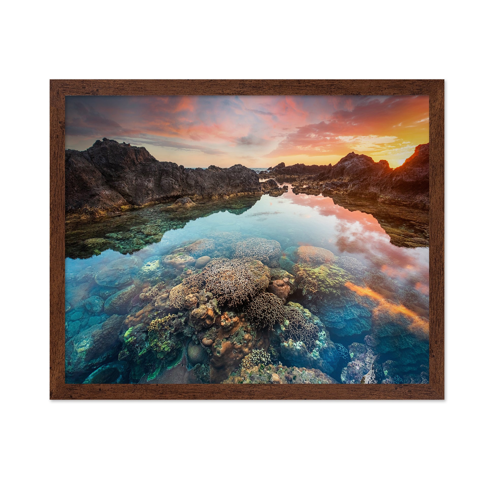 Coral Sunset Pool