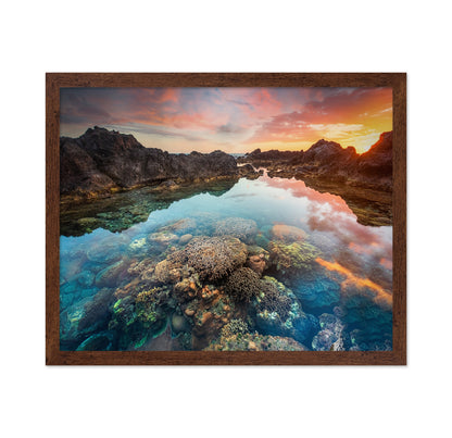 Coral Sunset Pool