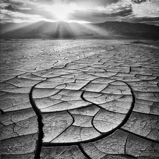 Cracked Desert Sun