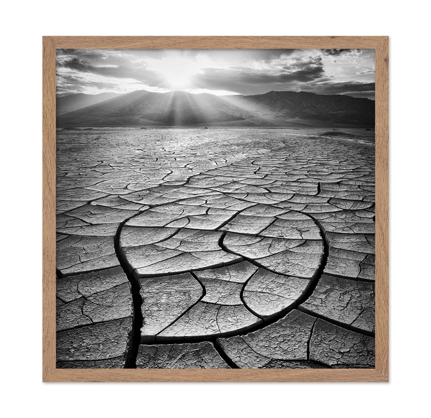 Cracked Desert Sun