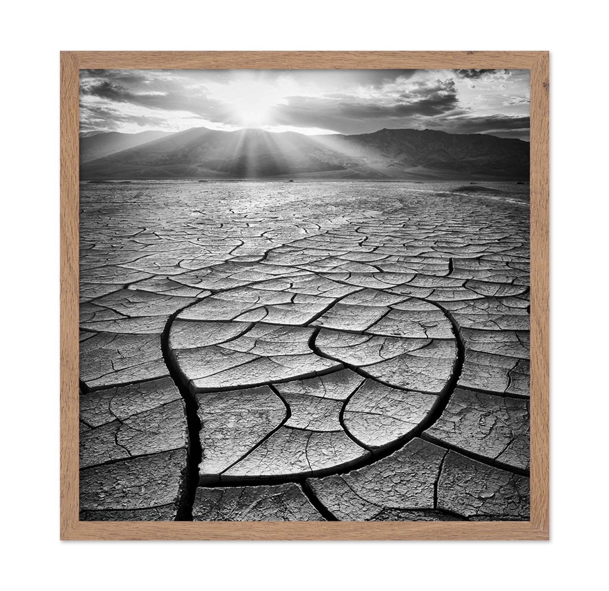 Cracked Desert Sun