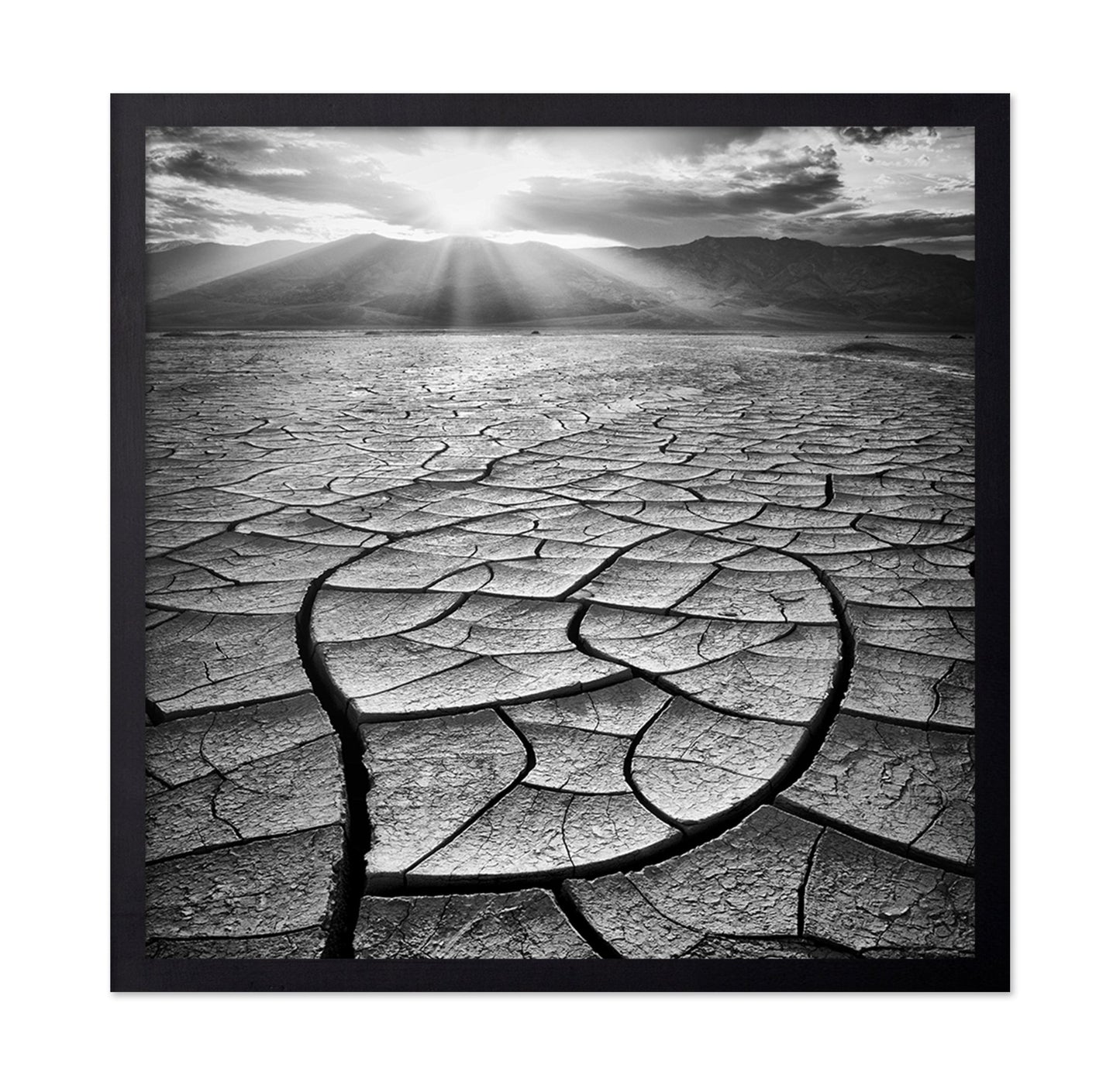 Cracked Desert Sun