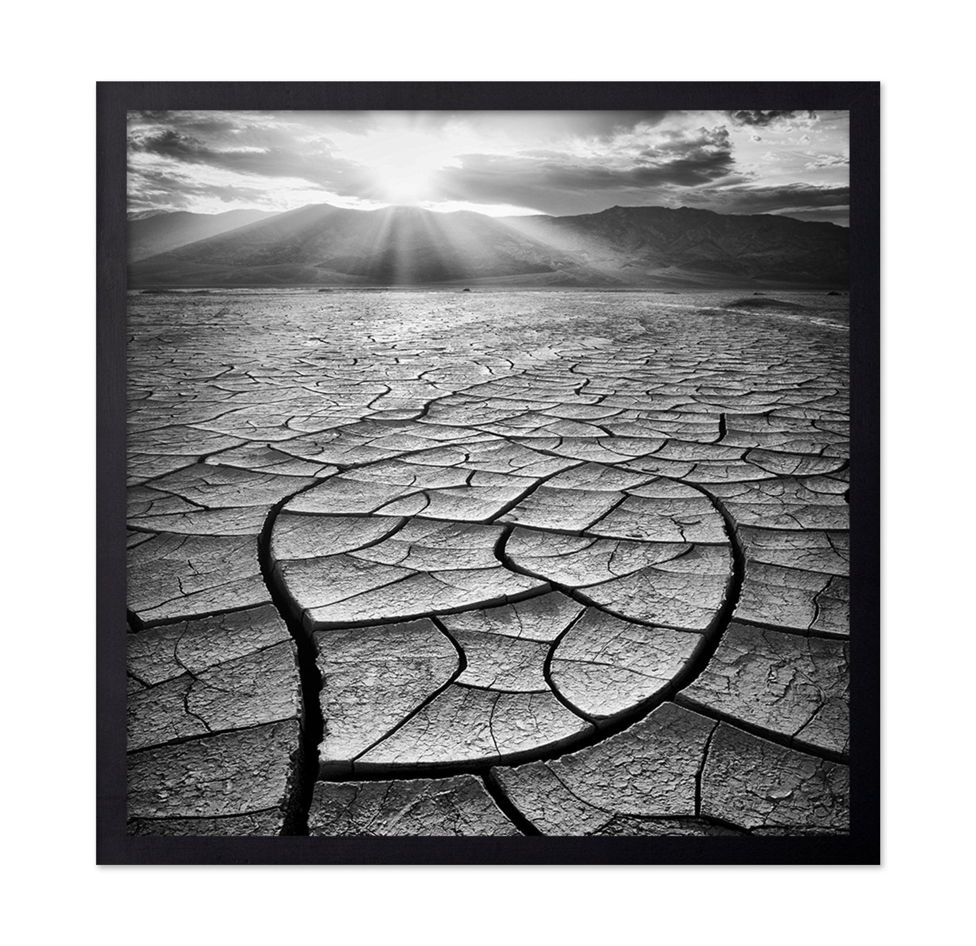 Cracked Desert Sun