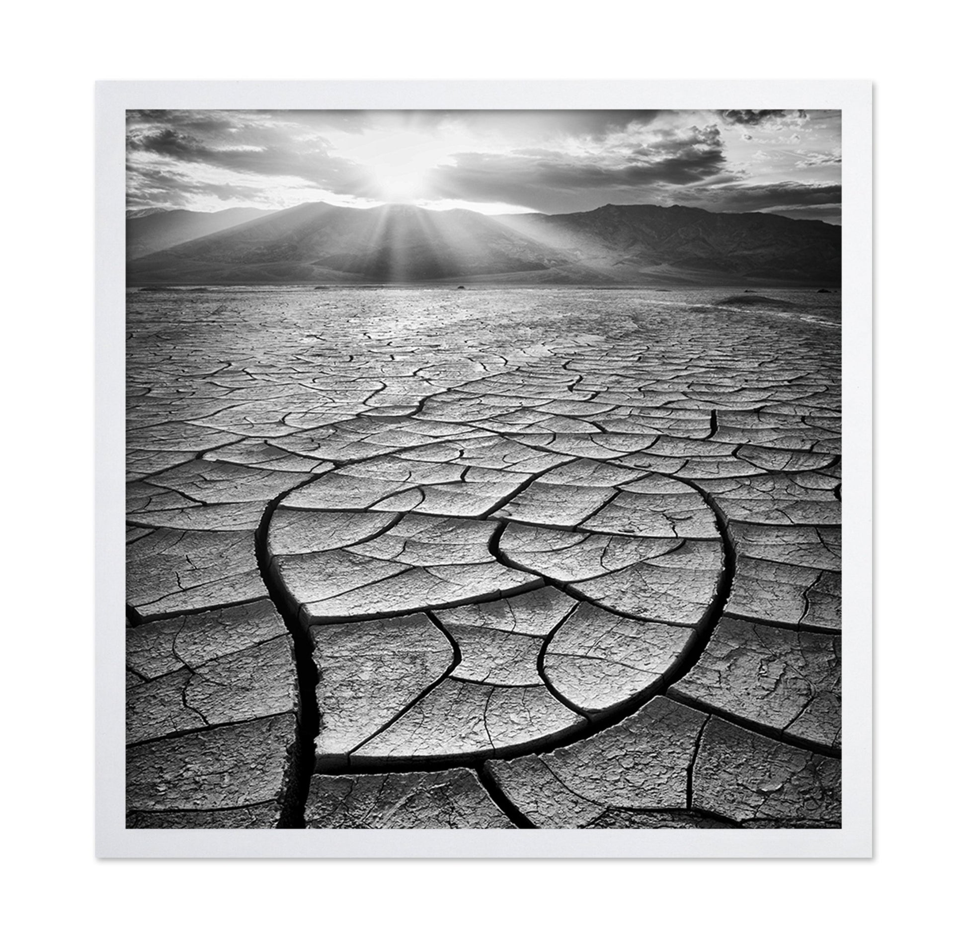 Cracked Desert Sun
