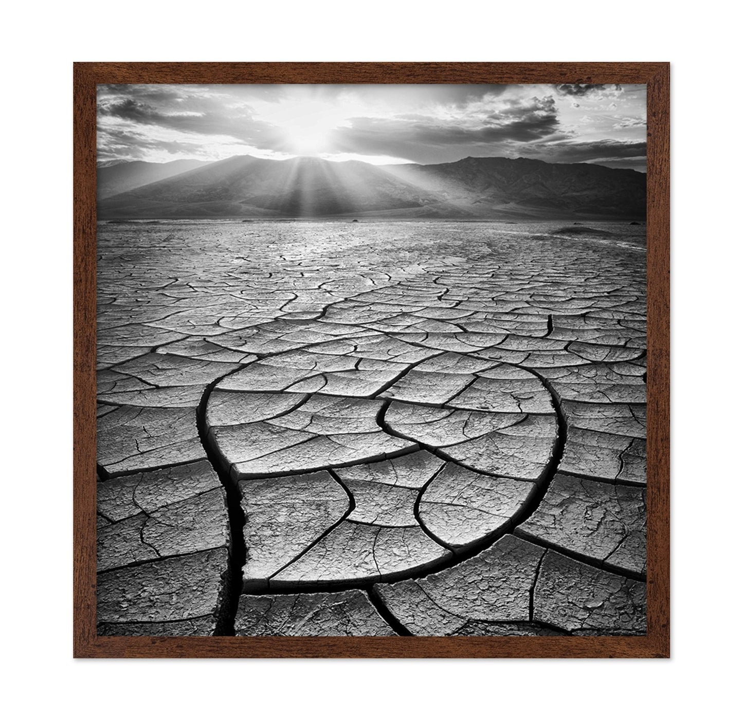 Cracked Desert Sun