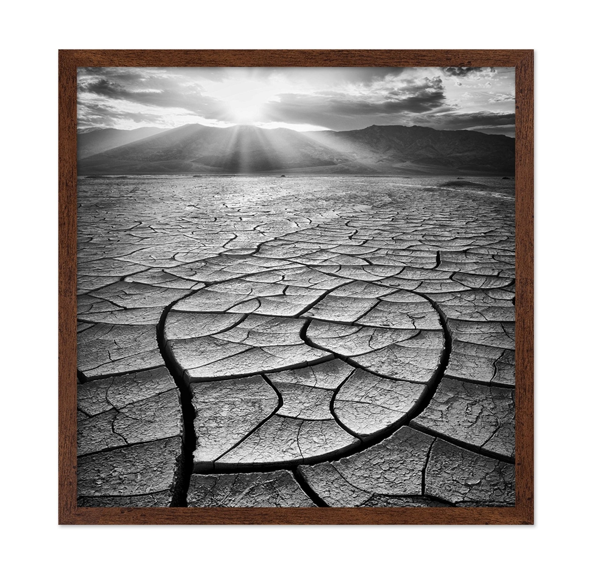 Cracked Desert Sun