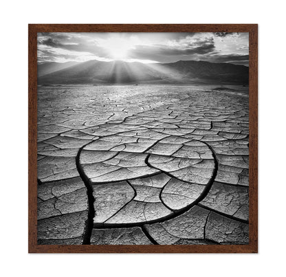 Cracked Desert Sun
