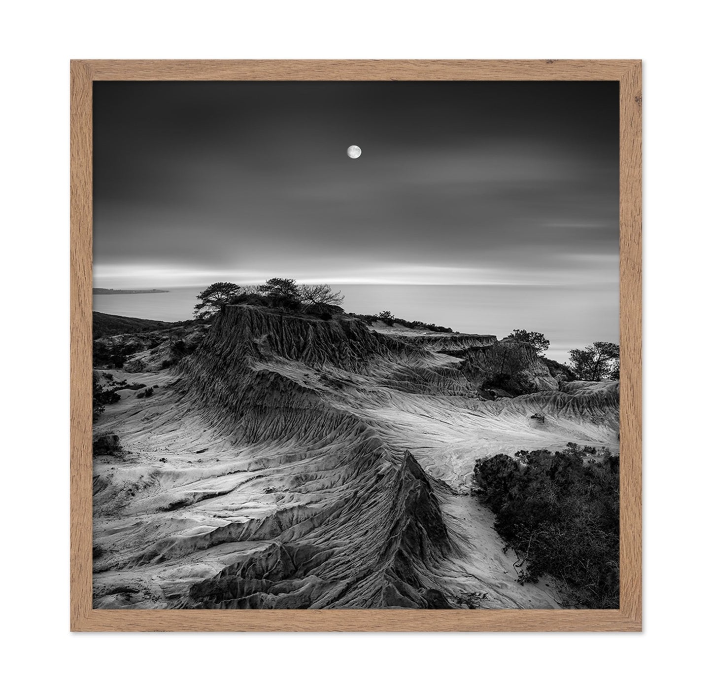 Moonlit Desert Ridge