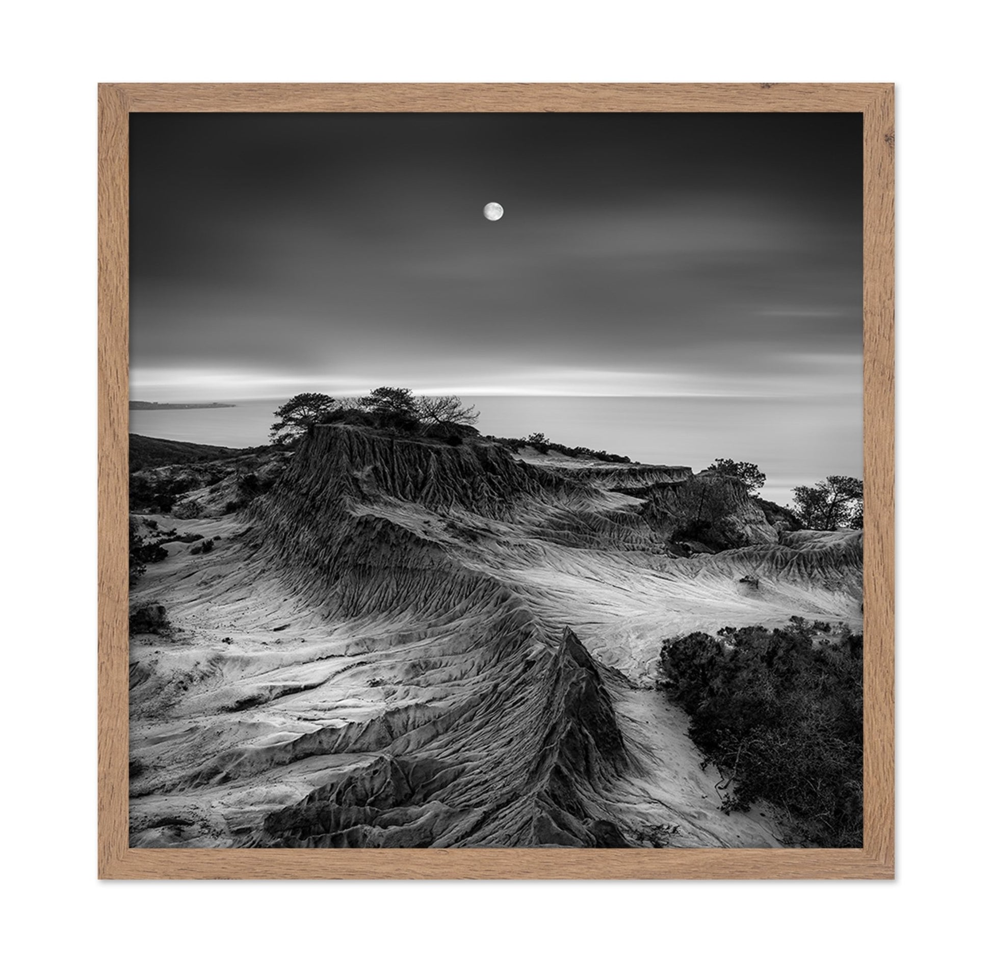 Moonlit Desert Ridge