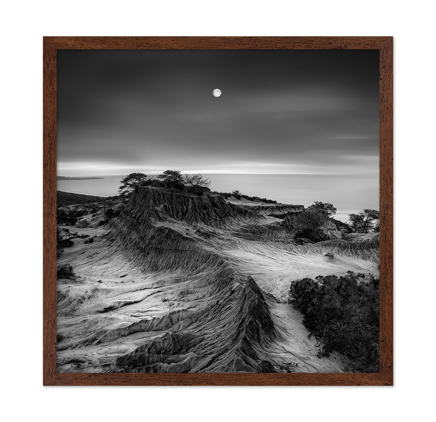 Moonlit Desert Ridge