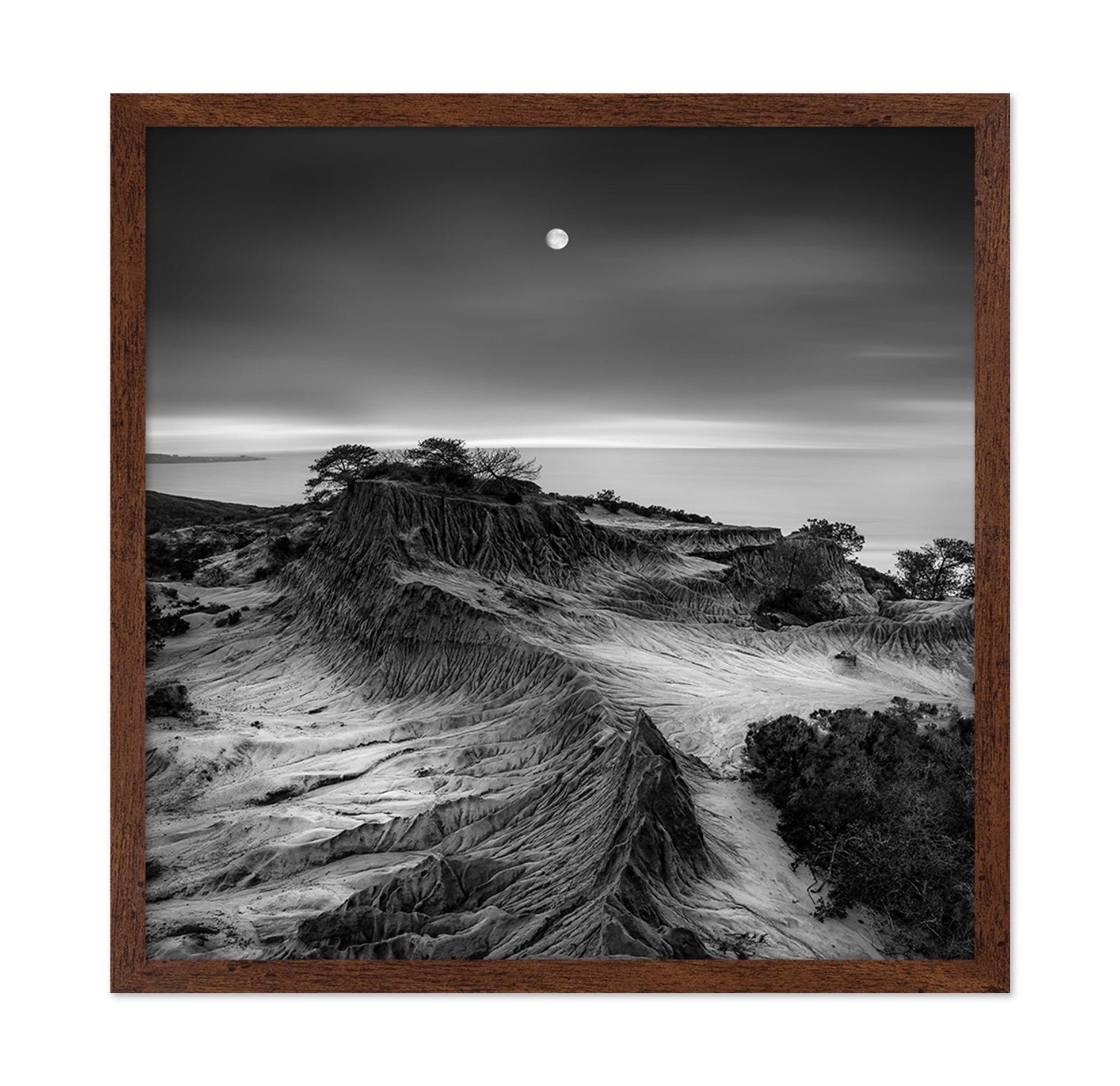 Moonlit Desert Ridge