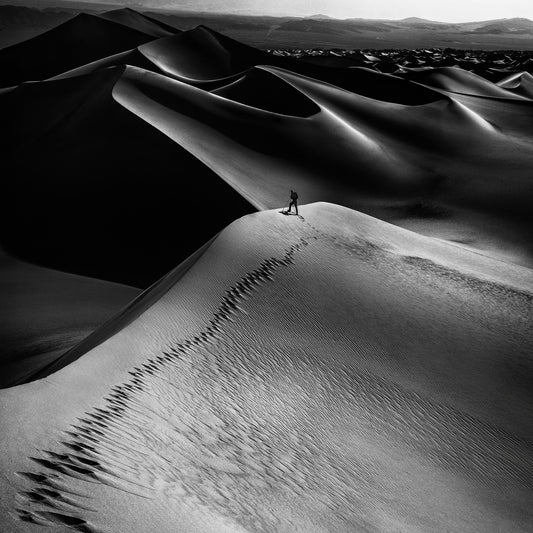 Desert Dune Explorer