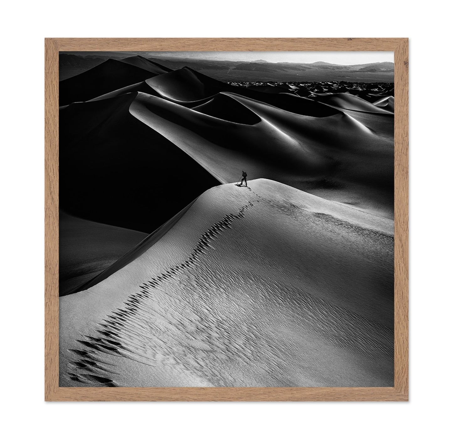 Desert Dune Explorer