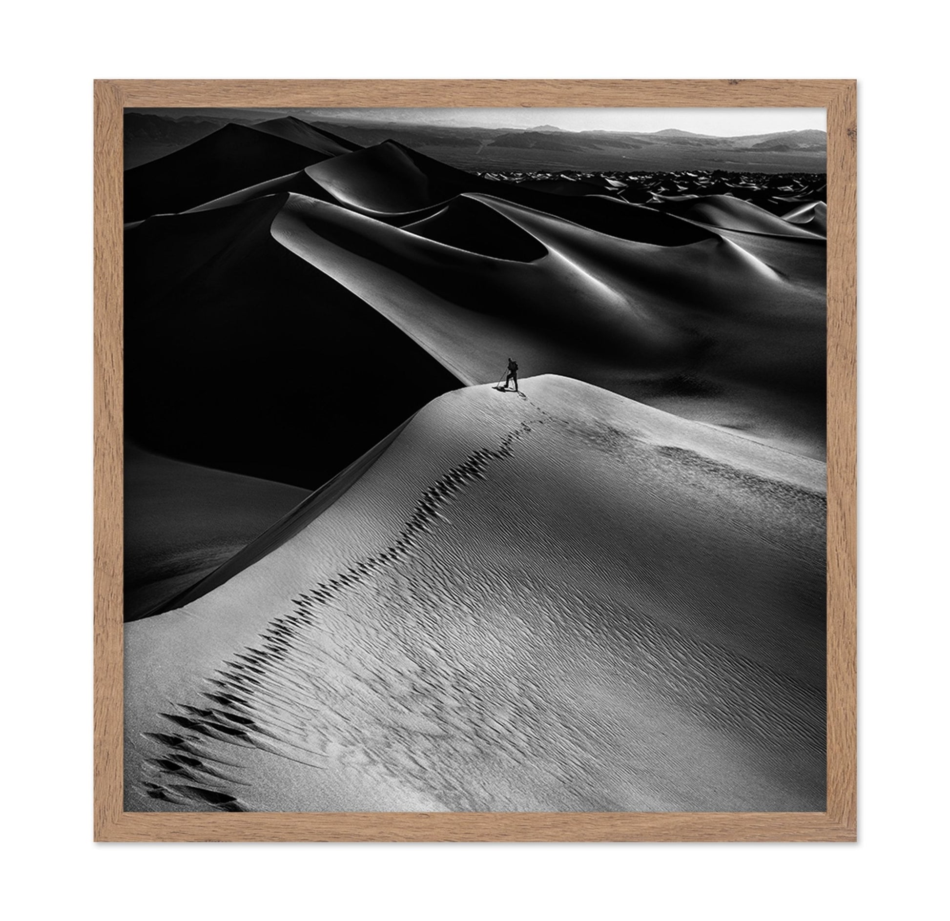 Desert Dune Explorer