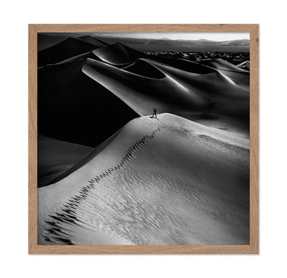 Desert Dune Explorer