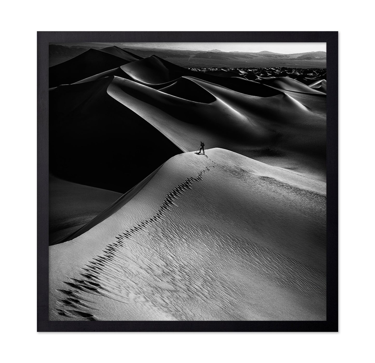 Desert Dune Explorer