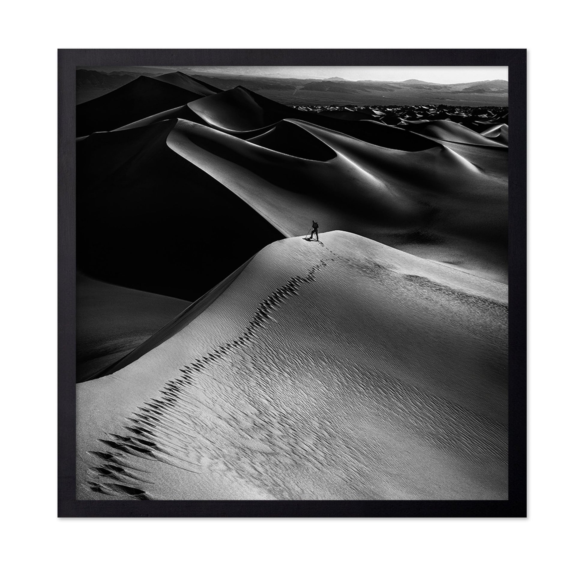 Desert Dune Explorer