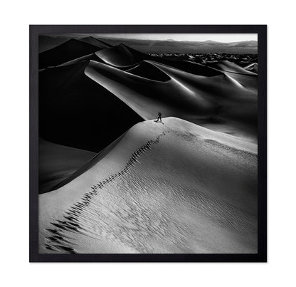 Desert Dune Explorer